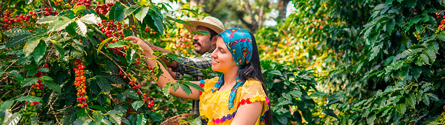 Eje Cafetero, Colombia