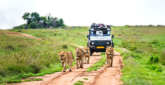 Reserva Nacional Masái Mara, Kenia