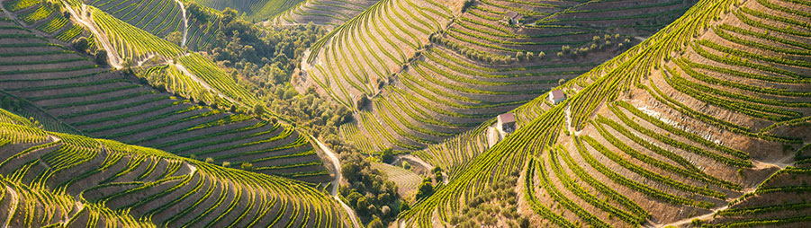 Valle del Duero, Portugal