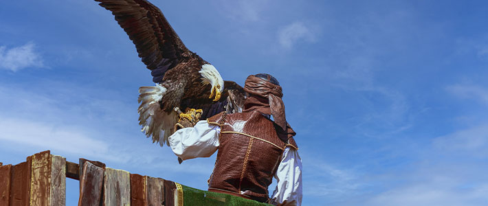 Puy du Fou, Toledo