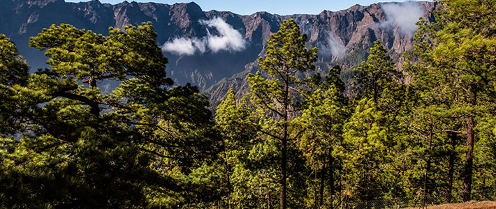 La Palma, la isla bonita - Blog Viajes El Corte Inglés