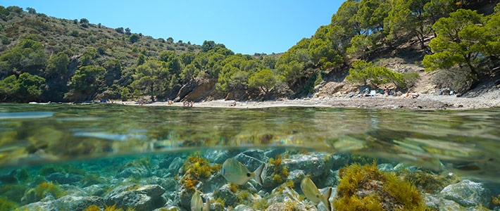 5 calas para disfrutar en la Costa Brava