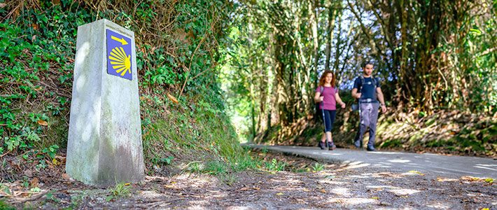 Camino de Santiago