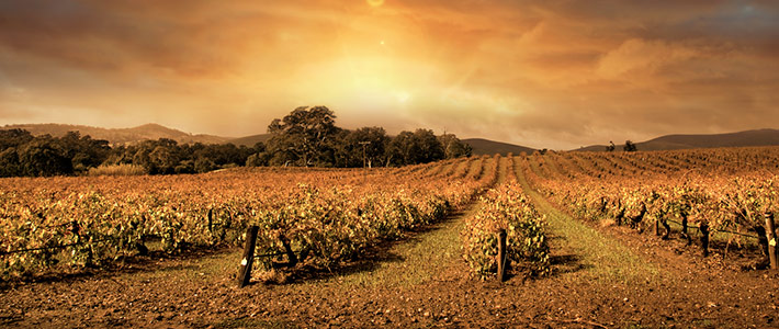 Valle de Barossa, Australia