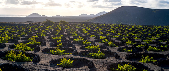 Lanzarote, Islas Canarias