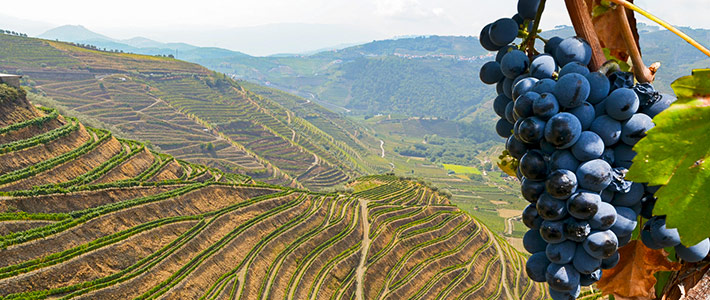 Valle del Duero, Portugal