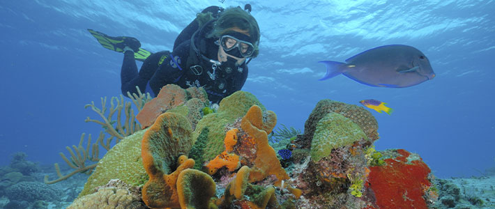 Cozumel, México