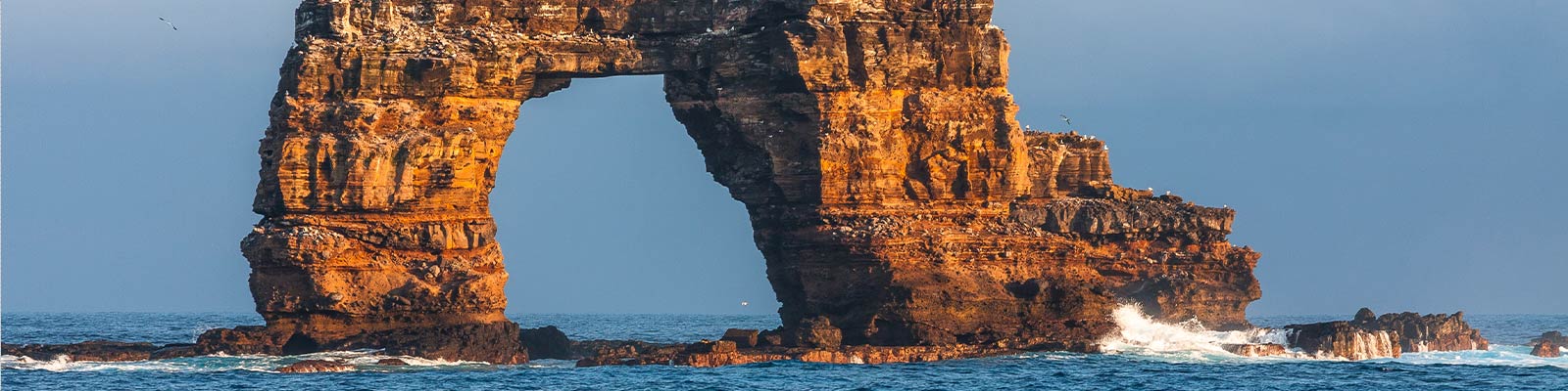 Arco de Darwin, Islas Galápagos