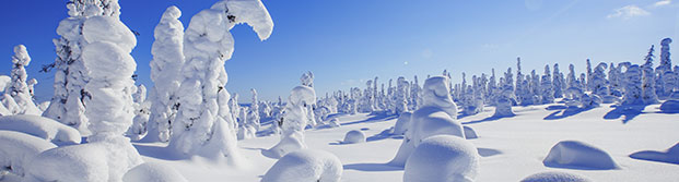 Paisaje con árboles nevados en Laponia finlandesa