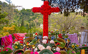 Cruces de Mayo, Granada