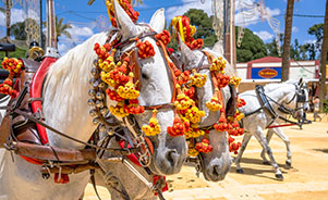 Feria del Caballo, Jerez