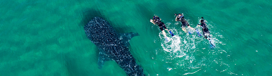 Golfo de California, México