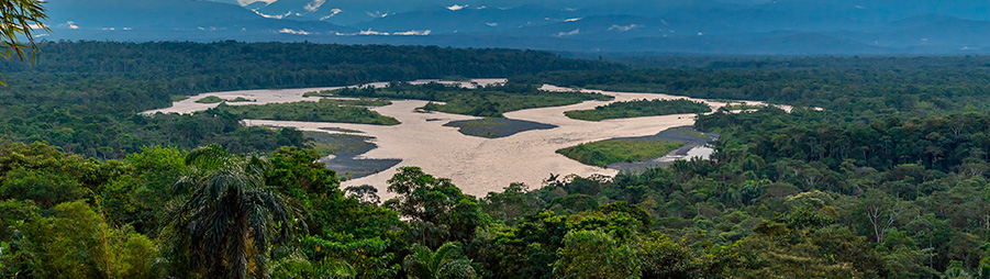 Selva amazónica, Ecuador