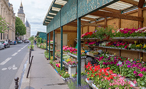 Marché aux Fleurs