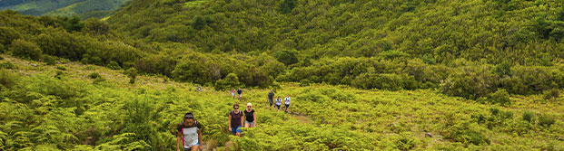 Madeira