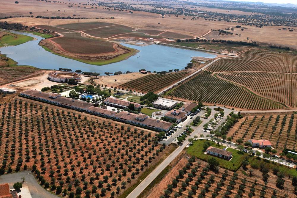 Hotel Rural Vila Gale Alentejo Vineyards