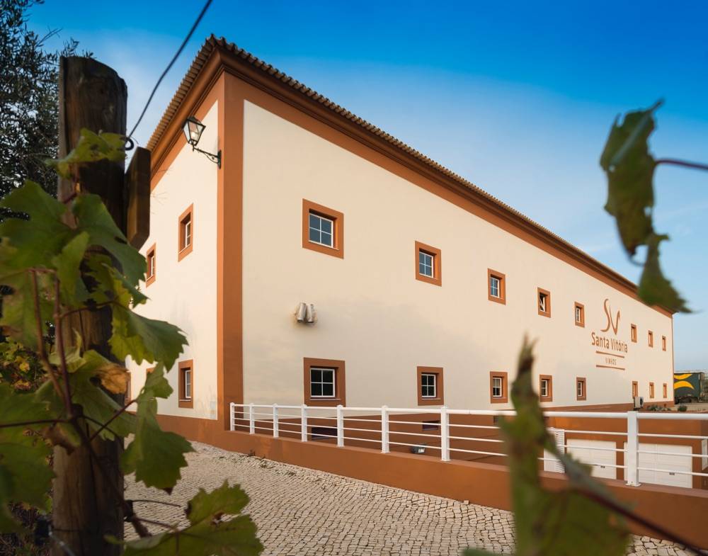 Hotel Rural Vila Gale Alentejo Vineyards