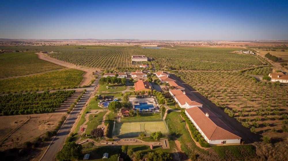 Hotel Rural Vila Gale Alentejo Vineyards