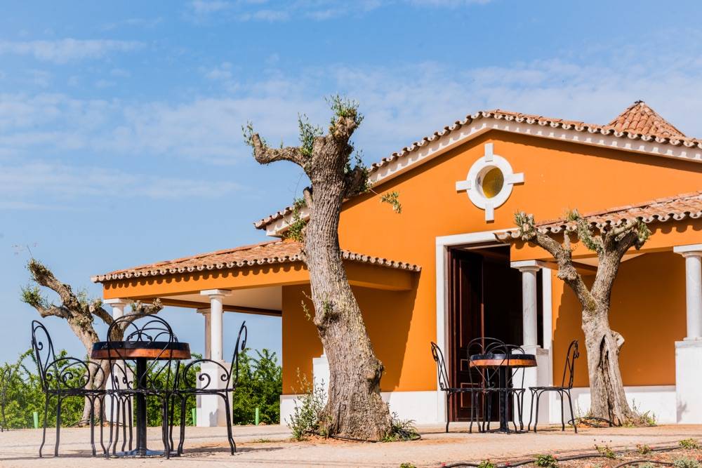 Hotel Rural Vila Gale Alentejo Vineyards